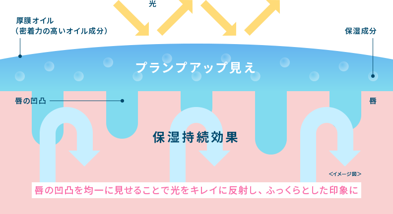 プランプアップ見え 保湿持続効果 唇の凹凸を均一に見せることで光をキレイに反射し、ふっくらとした印象に